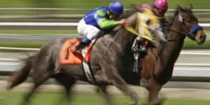 Forecasts & tricasts in horse racing