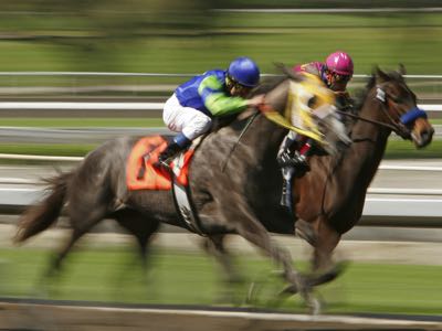 Forecasts & tricasts in horse racing